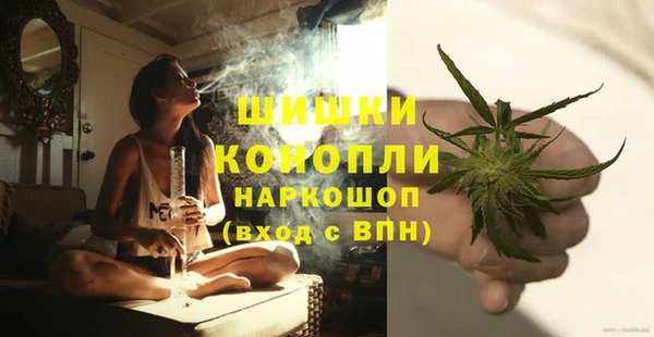 mix Богородицк