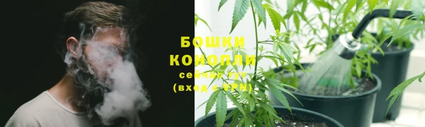 2c-b Богданович