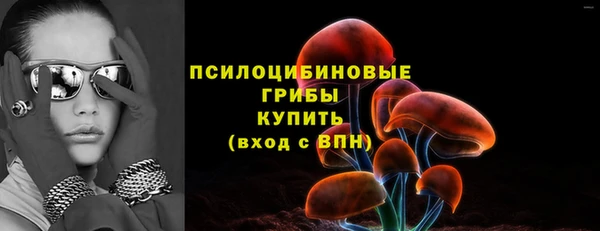 2c-b Богданович
