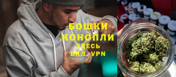mix Богородицк