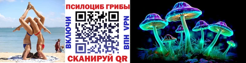 Псилоцибиновые грибы мицелий  мега онион  Острогожск 