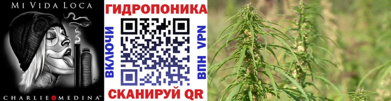 Конопля OG Kush  Острогожск 